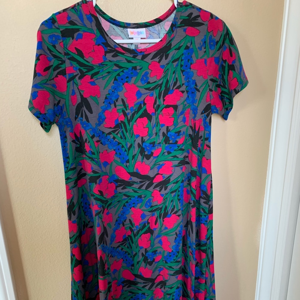 Floral Lularoe Carly Dress